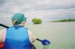 Mangrove Keys in Florida Bay