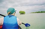 Mangroveninseln in der Florida Bay