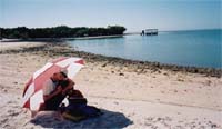 Strand auf Kingston Key
